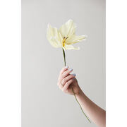 Large yellow lily paper flower